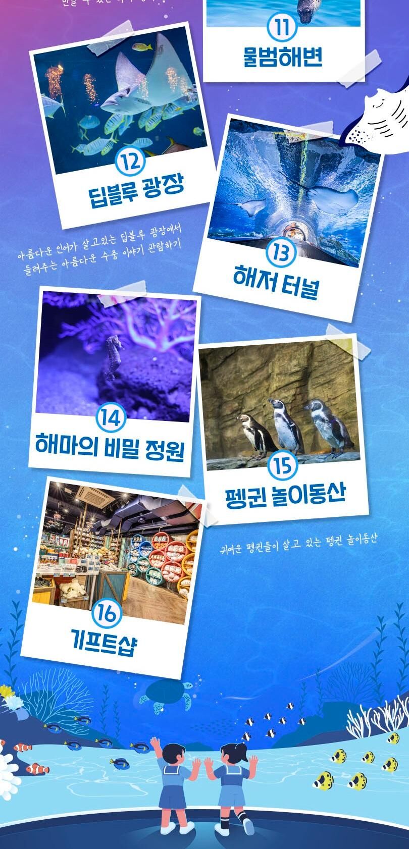 [서울/삼성] 씨라이프 코엑스아쿠아리움 10월 상세 이미지 9