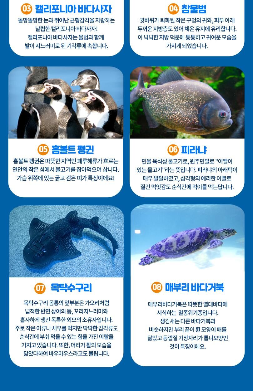 롯데월드 아쿠아리움 입장권 상세 이미지 10