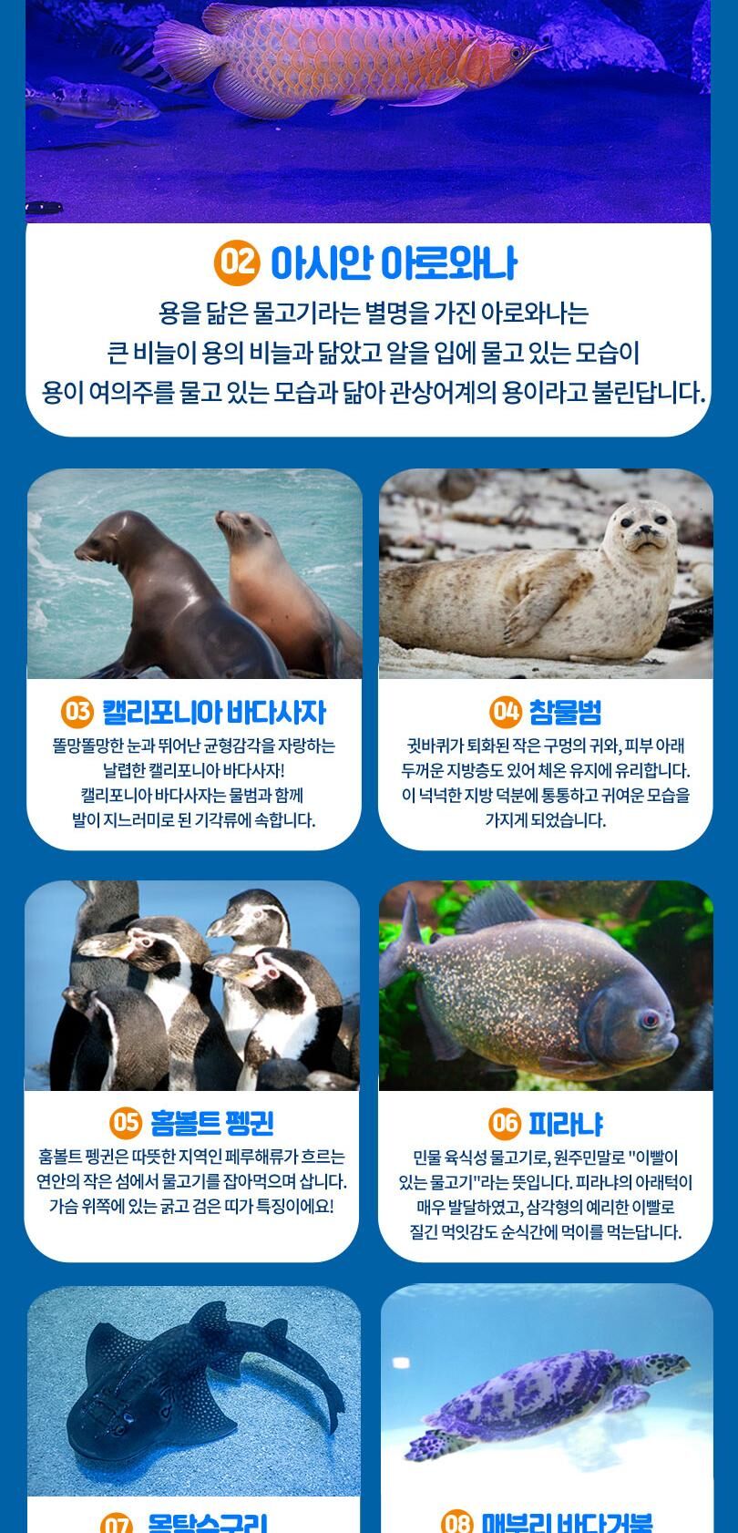 롯데월드 아쿠아리움+서울스카이PKG 상세 이미지 9