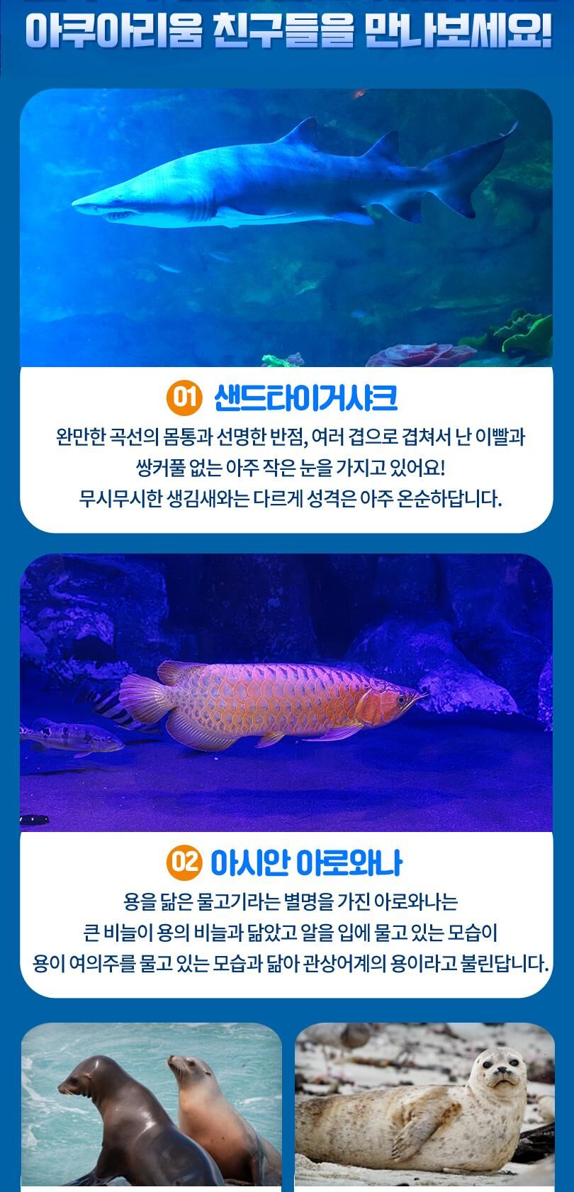 롯데월드 아쿠아리움 입장권 상세 이미지 9