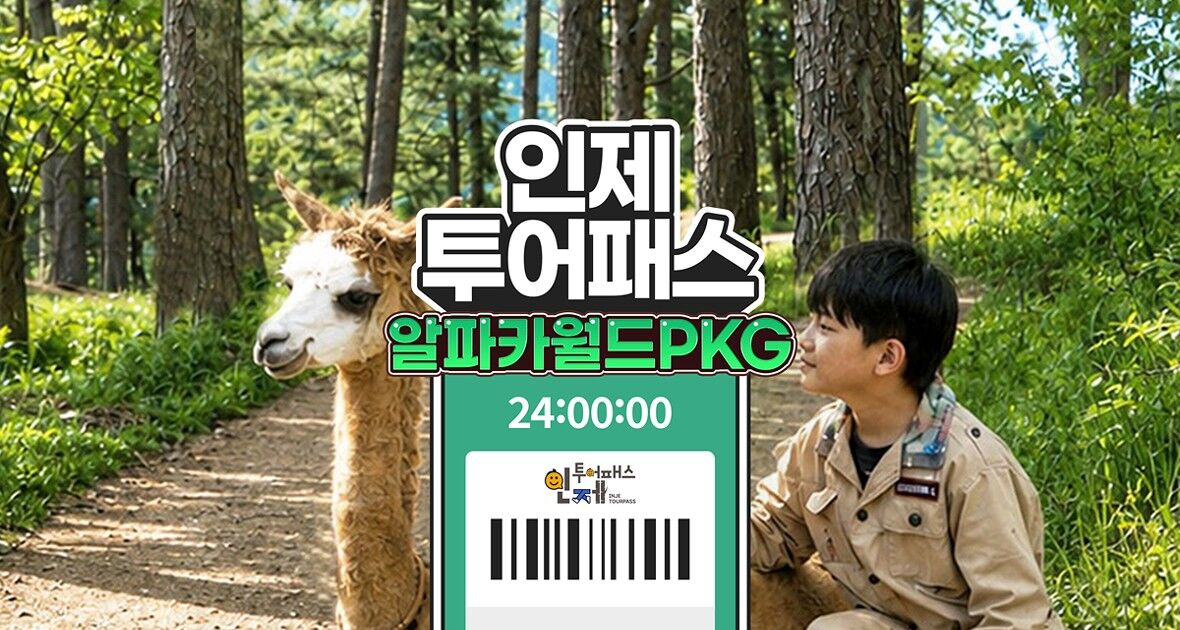 [인제투어패스] 인제투어패스+알파카월드 PKG