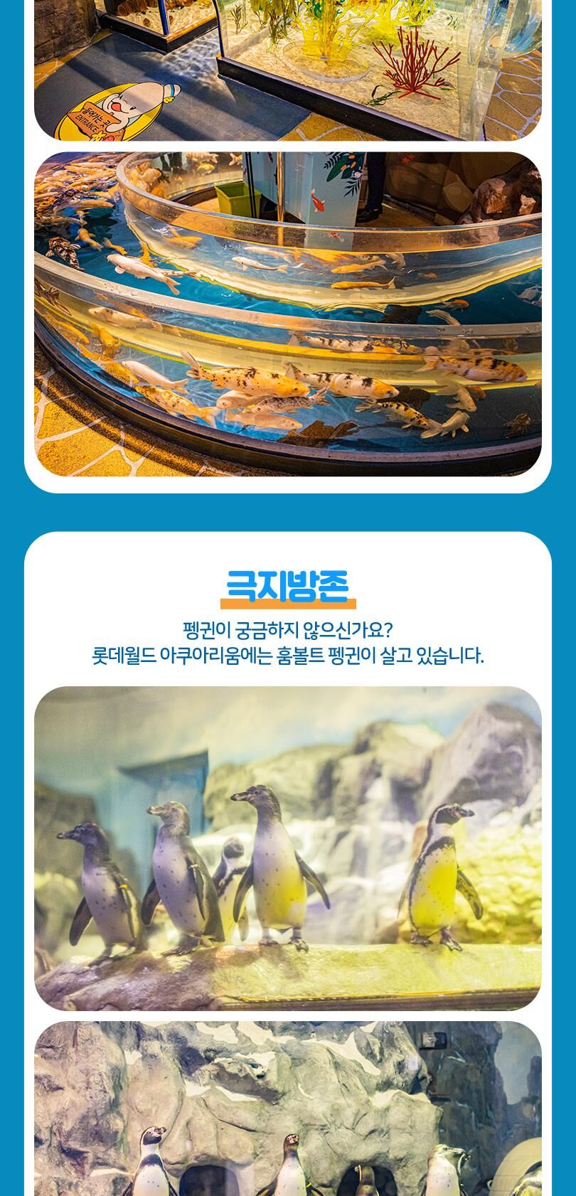 롯데월드 아쿠아리움 입장권 상세 이미지 16