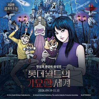 서울 여행 상품 사진
