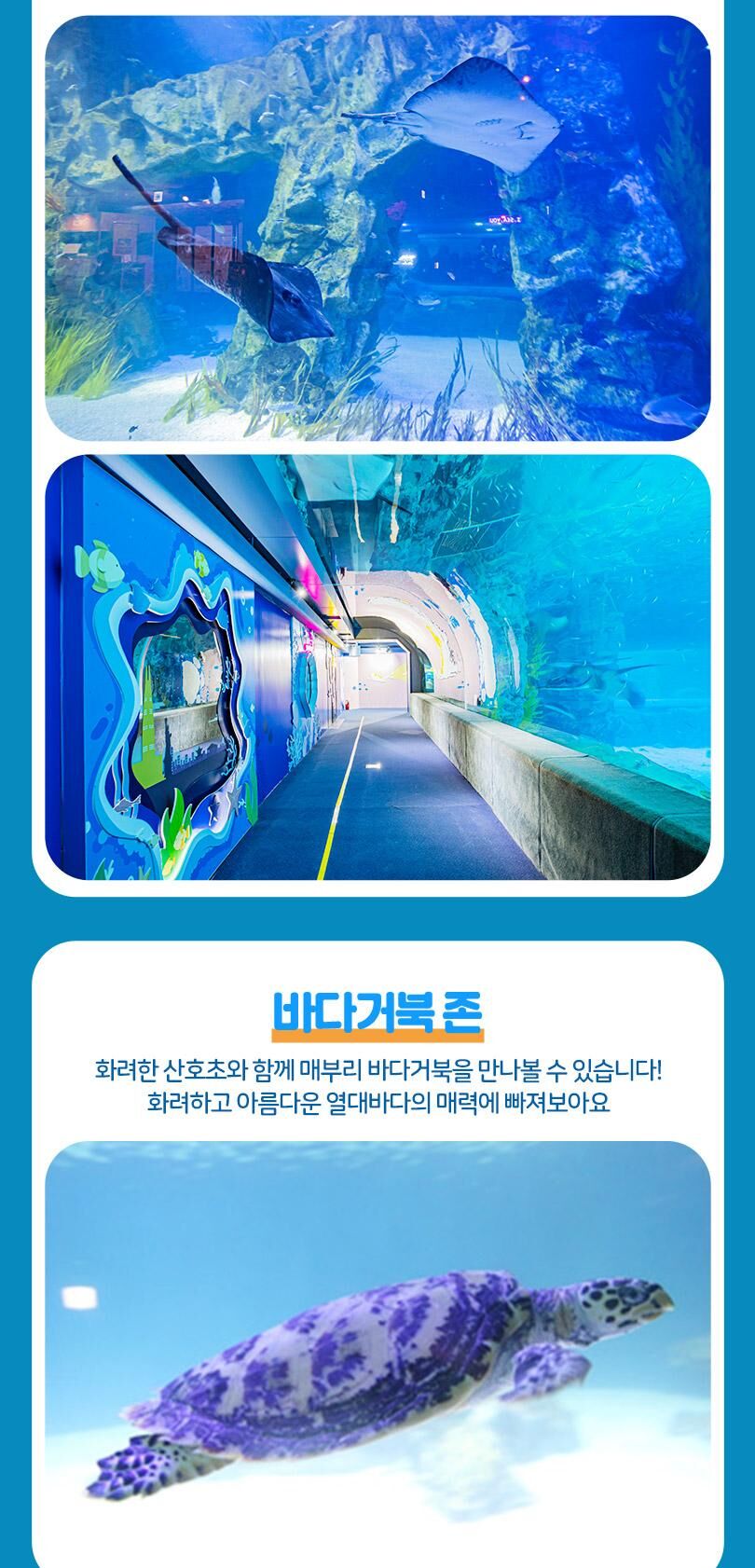 롯데월드 아쿠아리움+서울스카이PKG 상세 이미지 19