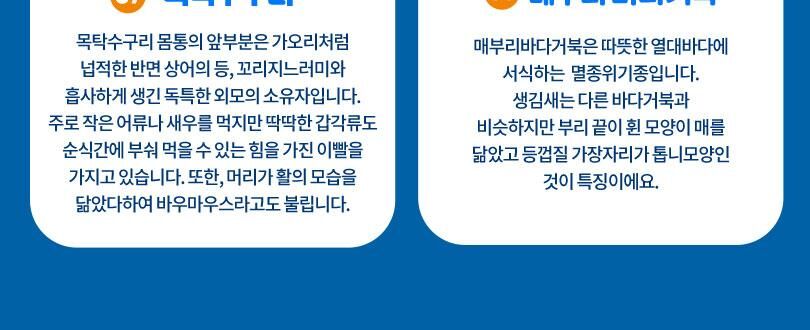 롯데월드 아쿠아리움+서울스카이PKG 상세 이미지 10