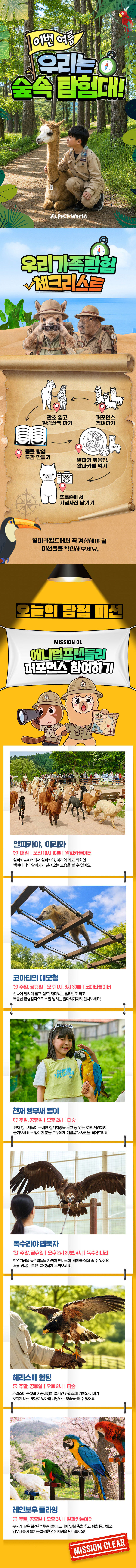 [인제투어패스] 인제투어패스+알파카월드 PKG 상세 이미지 3
