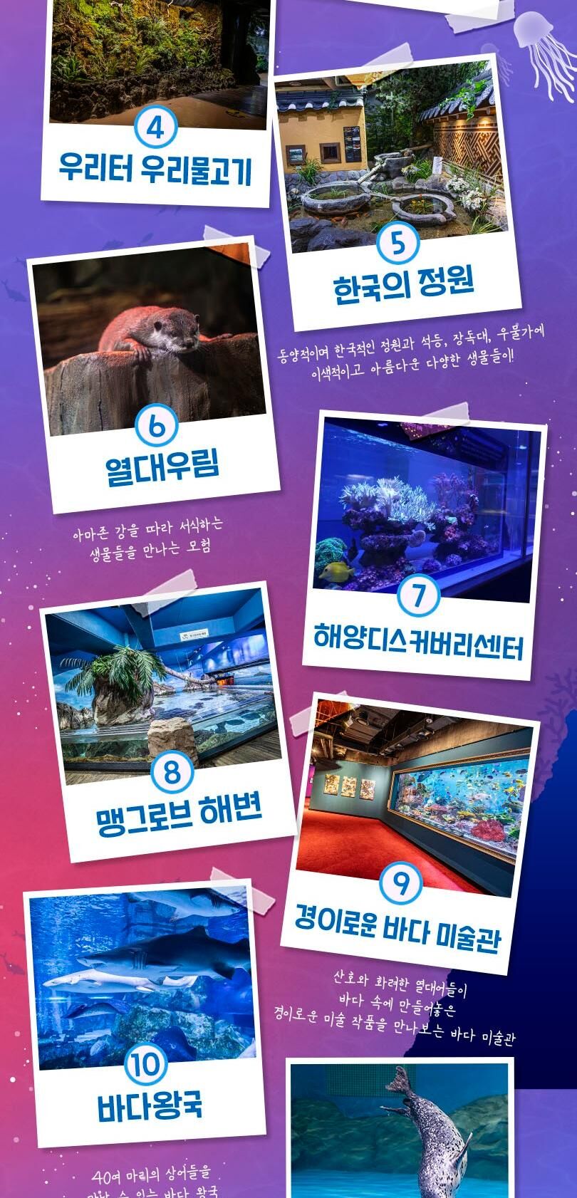 [서울/삼성] 씨라이프 코엑스아쿠아리움 10월 상세 이미지 8