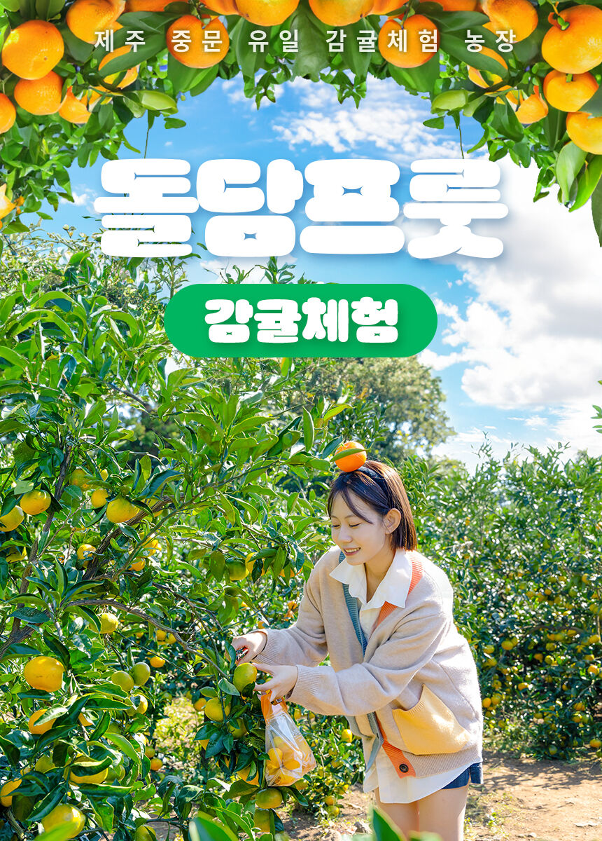 [제주] 돌담프룻 이용권 상세 이미지 4