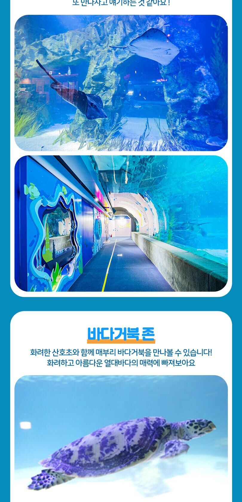 롯데월드 아쿠아리움 입장권 상세 이미지 19