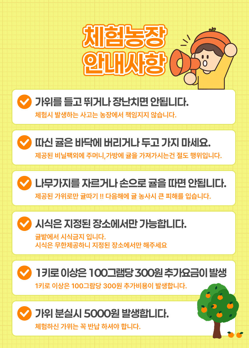[제주] 돌담프룻 이용권 상세 이미지 8