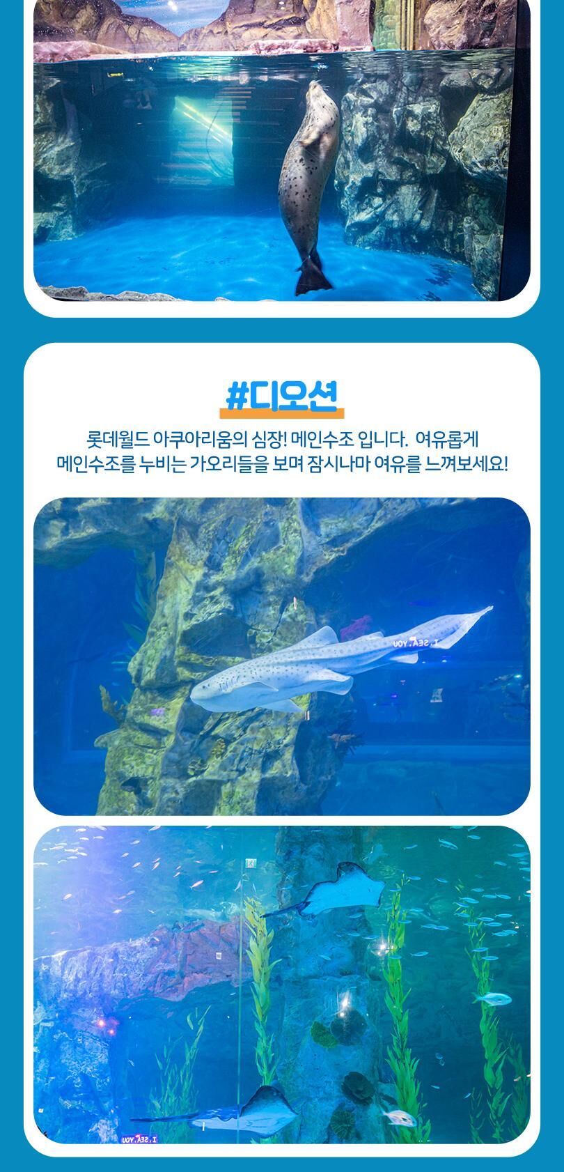 롯데월드 아쿠아리움+서울스카이PKG 상세 이미지 14