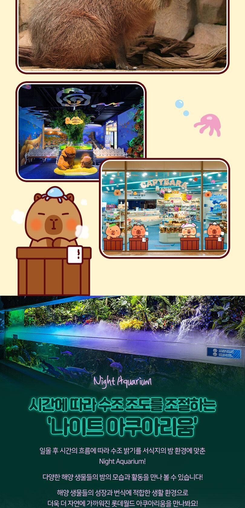 롯데월드 아쿠아리움+서울스카이PKG 상세 이미지 6