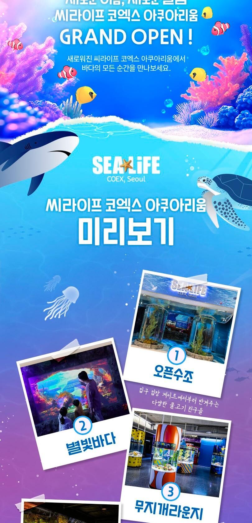 [서울/삼성] 씨라이프 코엑스아쿠아리움 10월 상세 이미지 7