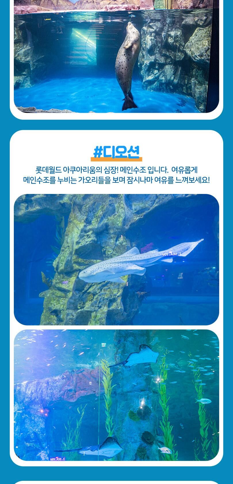 롯데월드 아쿠아리움 입장권 상세 이미지 14