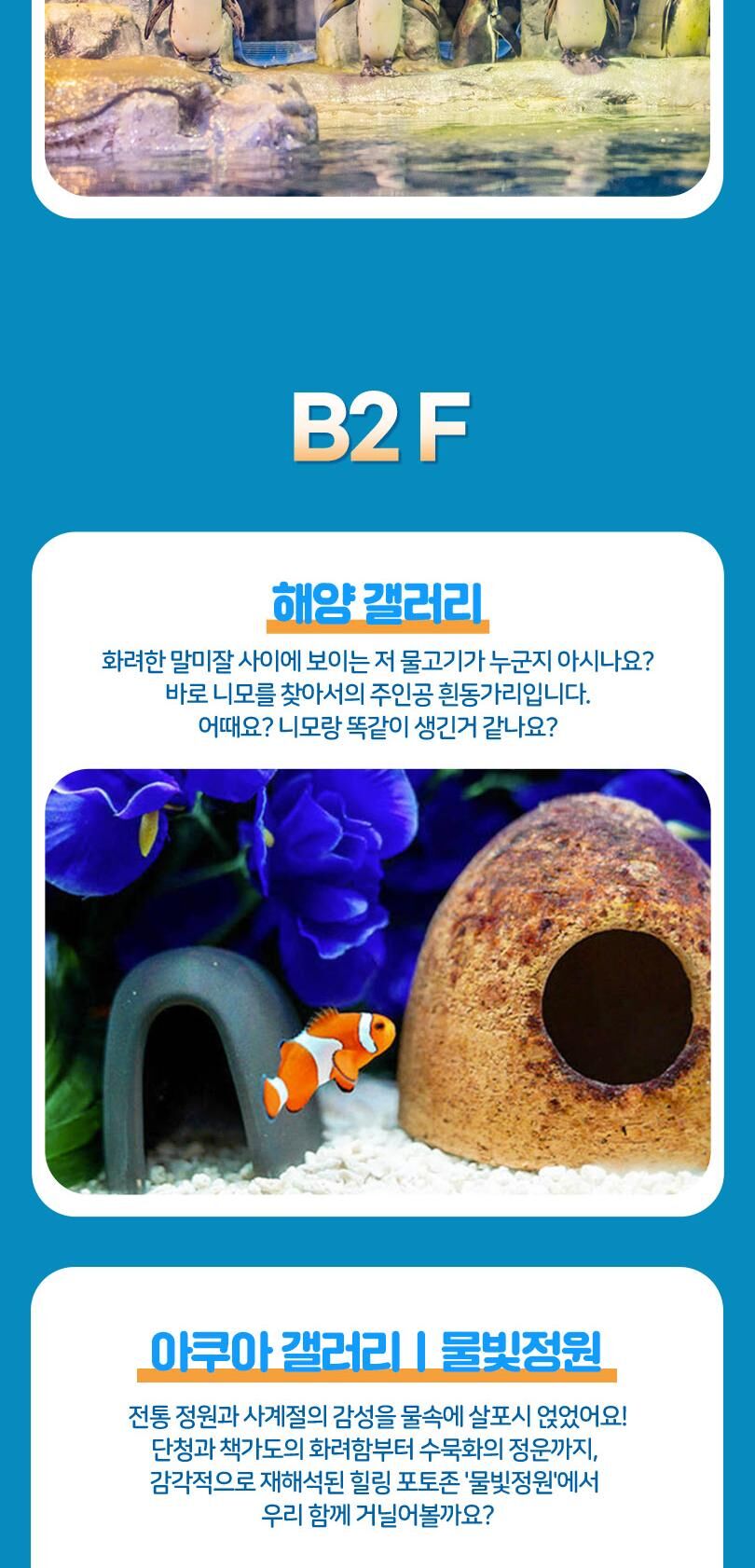 롯데월드 아쿠아리움 입장권 상세 이미지 17