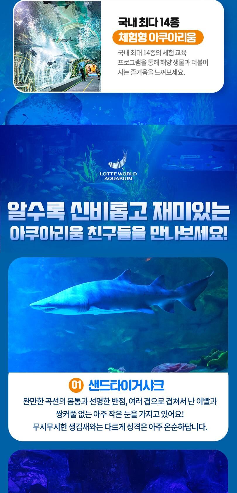 롯데월드 아쿠아리움+서울스카이PKG 상세 이미지 8