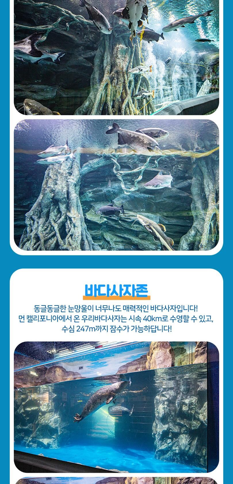 롯데월드 아쿠아리움+서울스카이PKG 상세 이미지 13