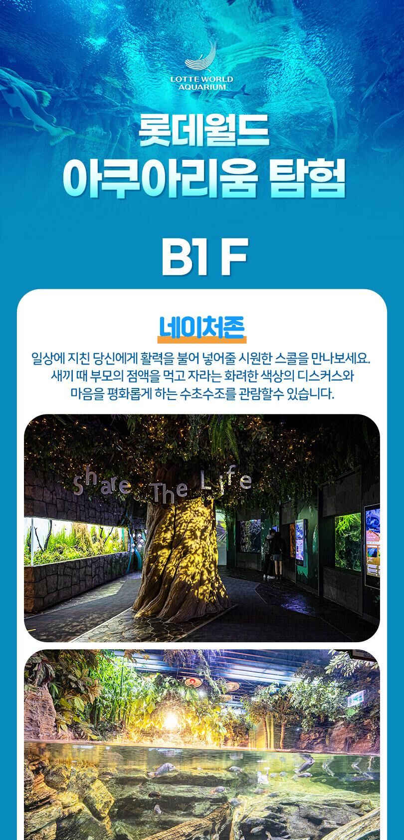 롯데월드 아쿠아리움+서울스카이PKG 상세 이미지 11