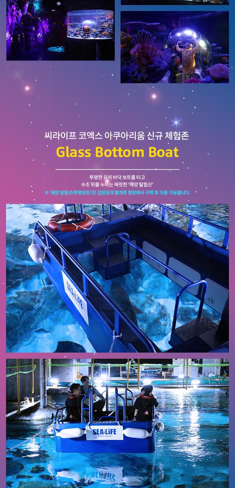 [서울/삼성] 씨라이프 코엑스아쿠아리움 10월 상세 이미지 3