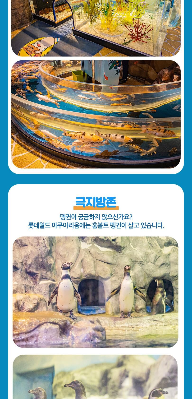롯데월드 아쿠아리움+서울스카이PKG 상세 이미지 16