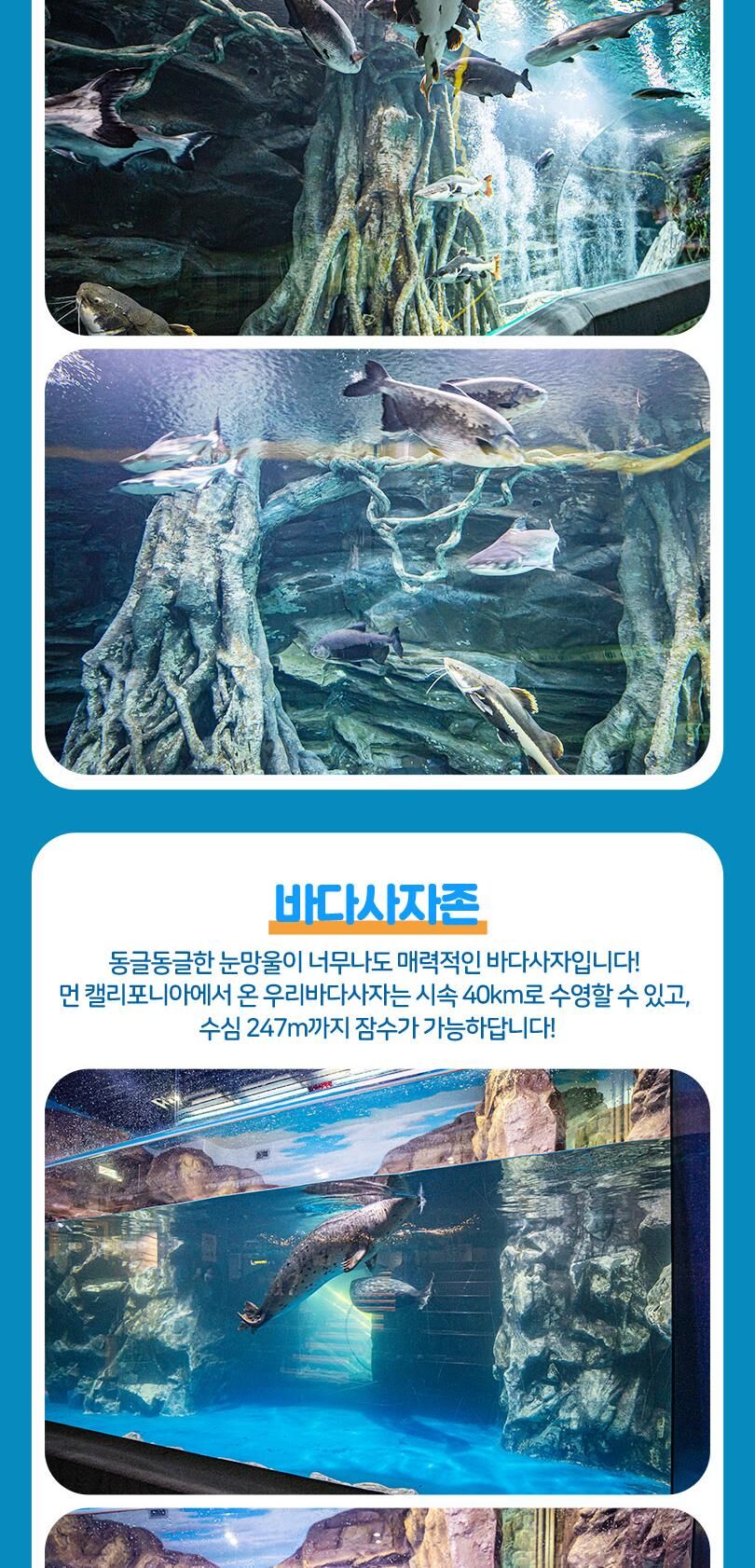 롯데월드 아쿠아리움 입장권 상세 이미지 13