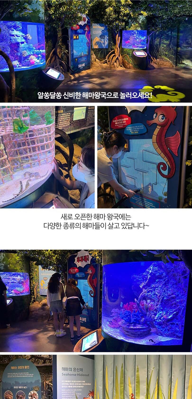[부산] 부산 아쿠아리움 도라에몽 키링PKG 상세 이미지 7