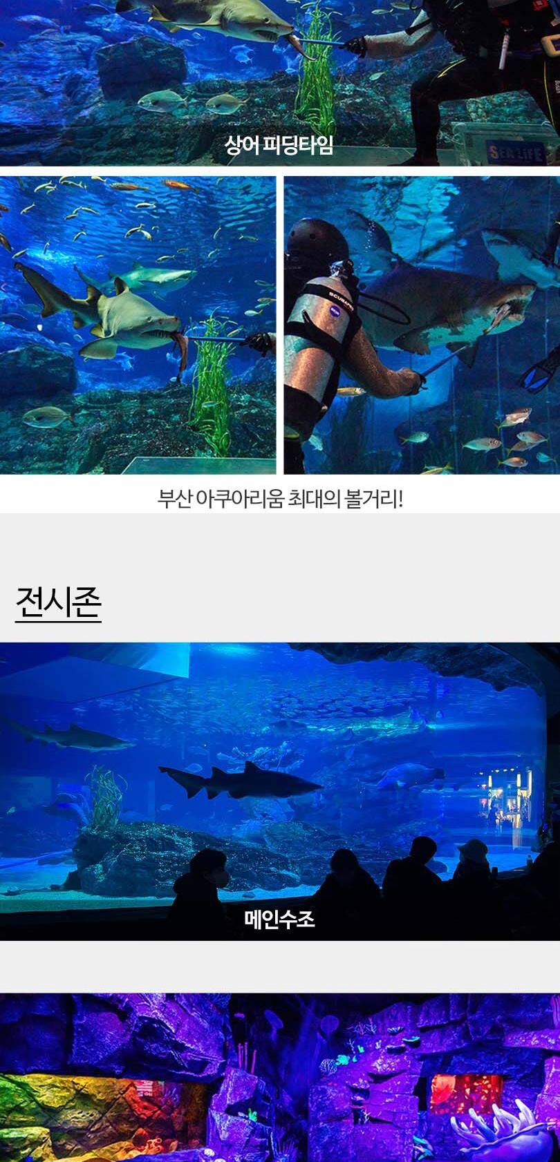 [부산] 부산 아쿠아리움 도라에몽 키링PKG 상세 이미지 17
