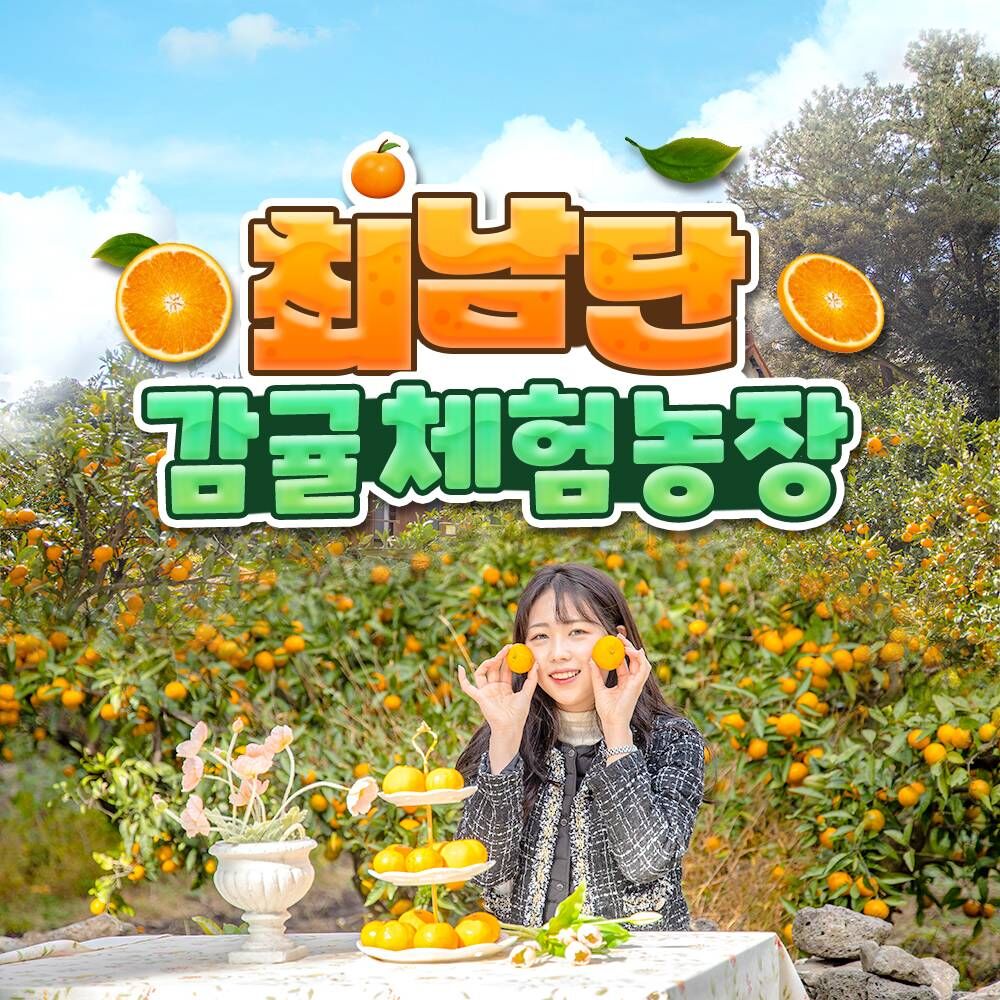 [제주] 최남단 감귤체험농장