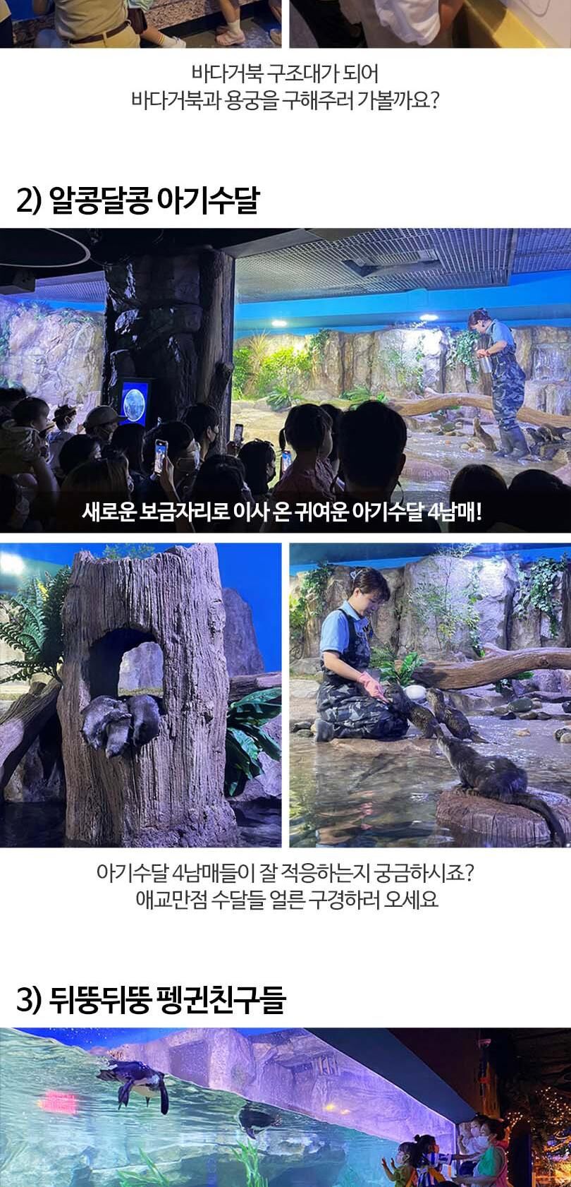 [부산] 부산 아쿠아리움 도라에몽 키링PKG 상세 이미지 13
