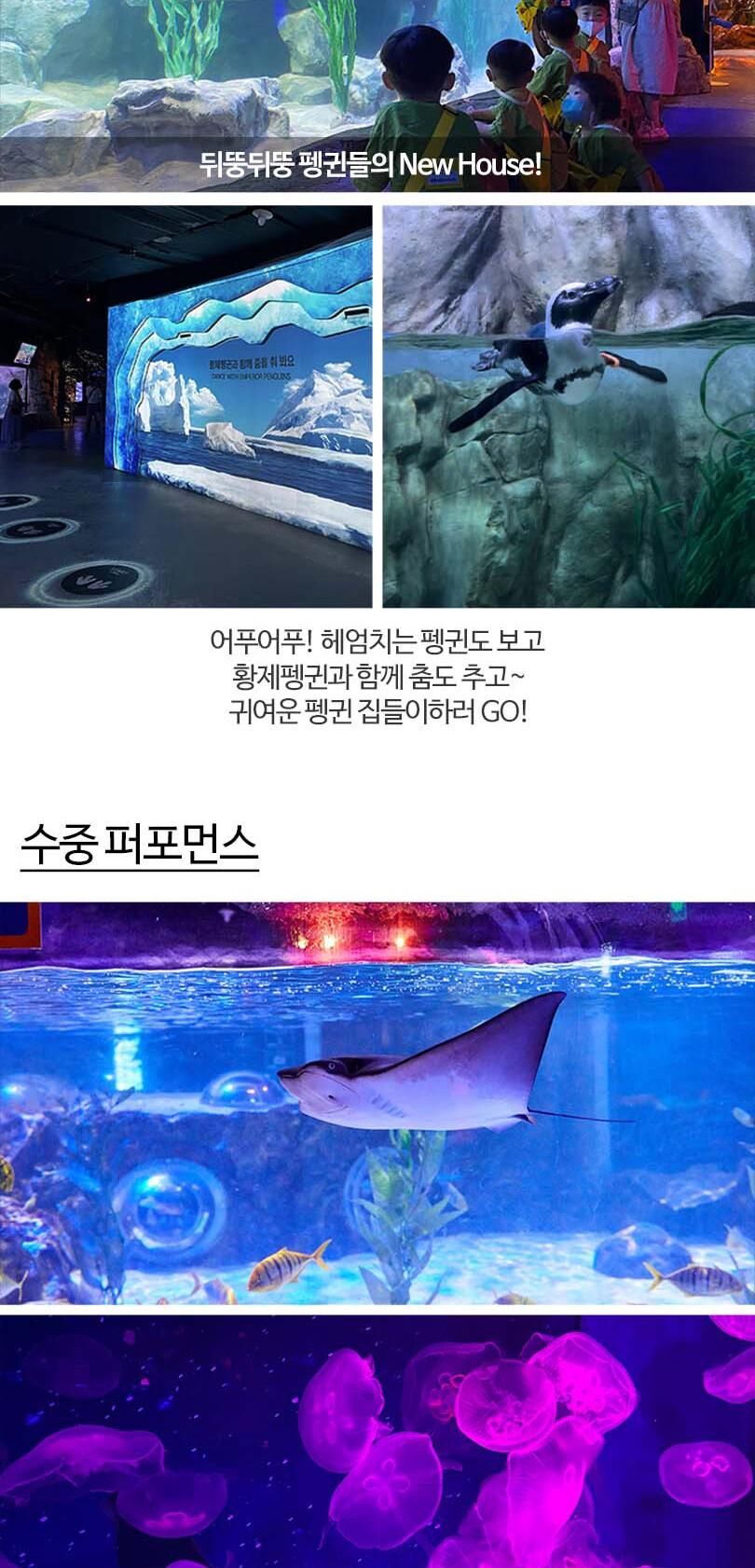 [부산] 부산 아쿠아리움 도라에몽 키링PKG 상세 이미지 14