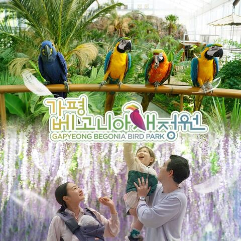 가평 티켓·입장권 - [경기] 가평 베고니아 새정원 입장권