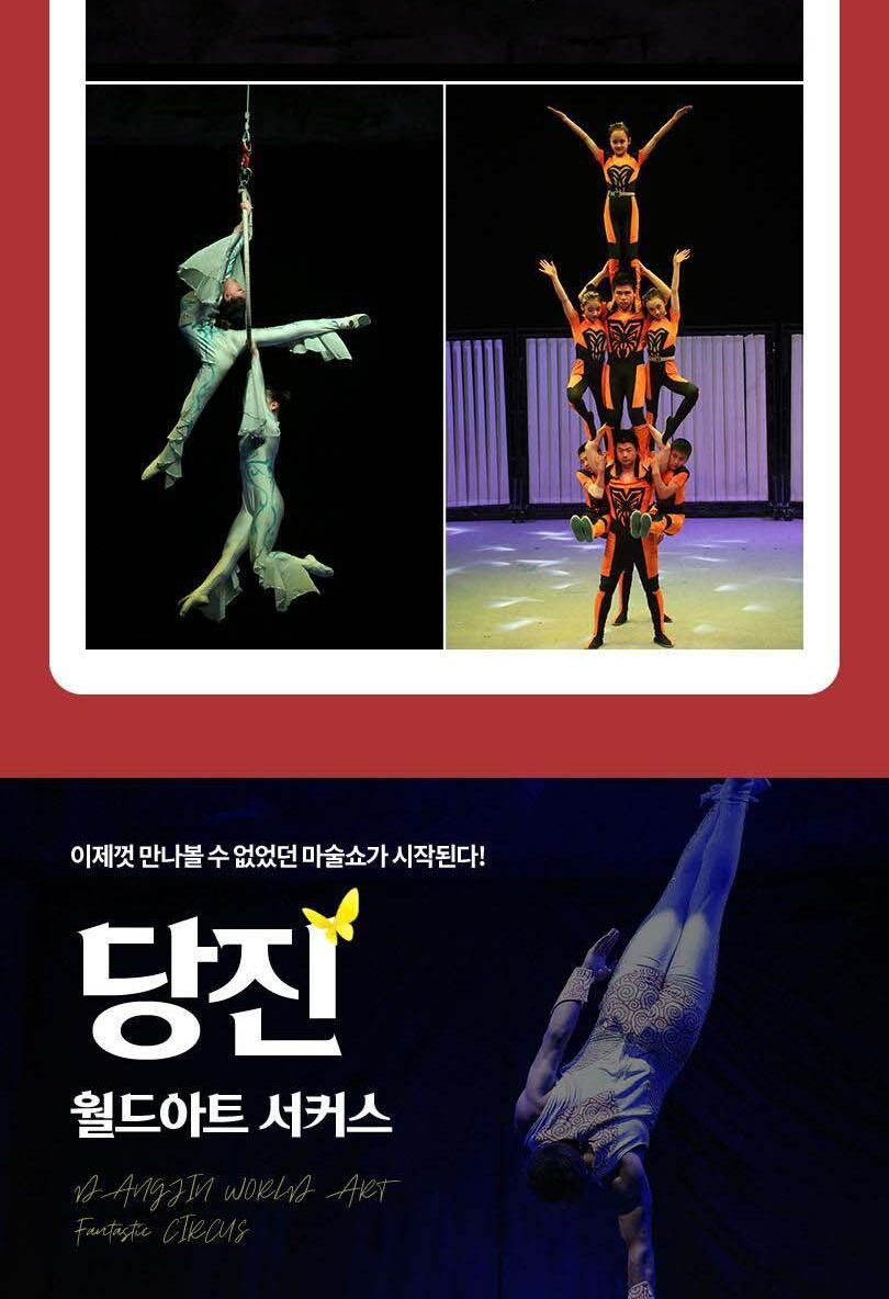 온 가족이 빠져드는 당진 월드아트 서커스 상세 이미지 6