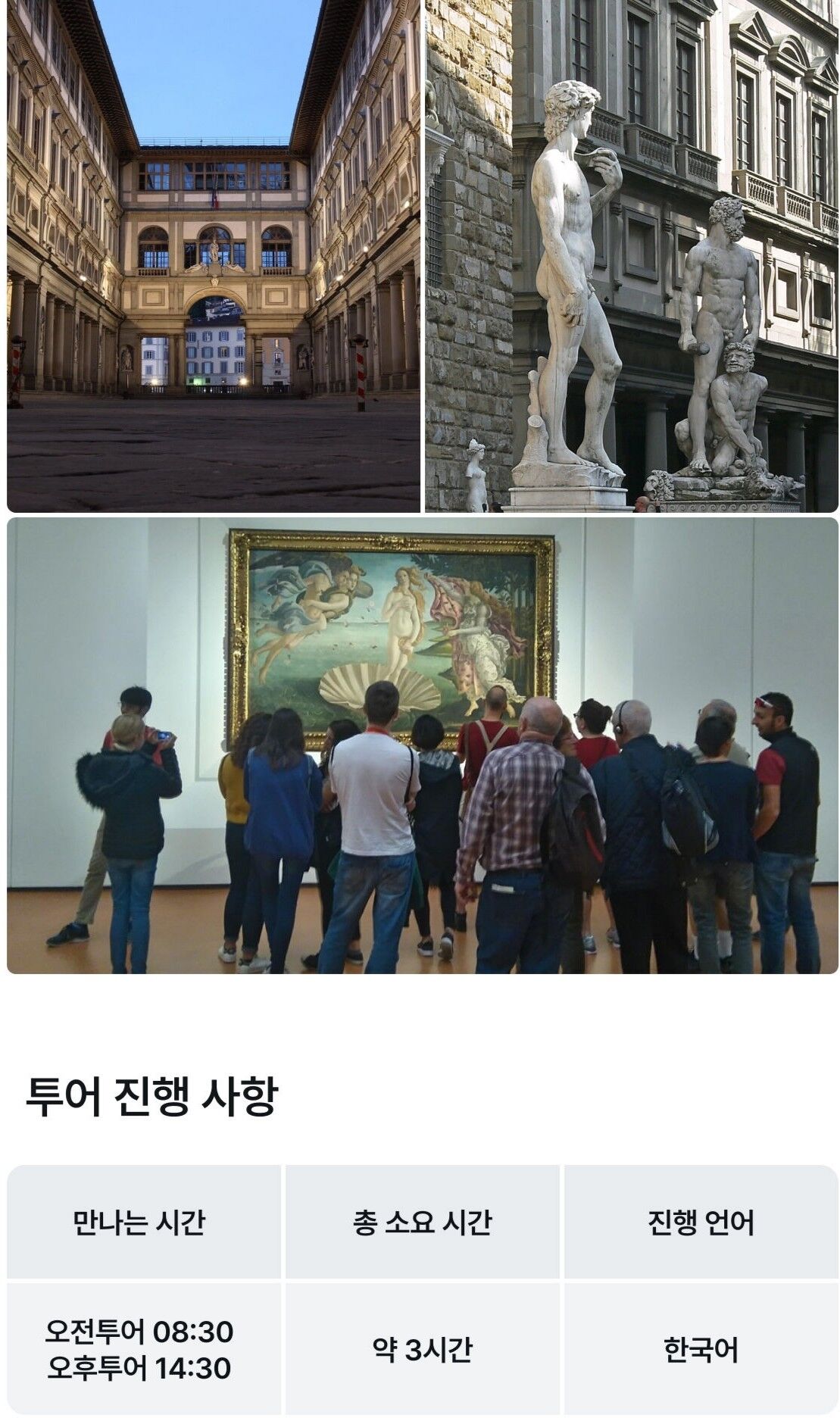 [소 그룹투어] 마리 공인가이드의 우피치 미술관-서양미술사/최대9명/오전/오후 상세 이미지 1