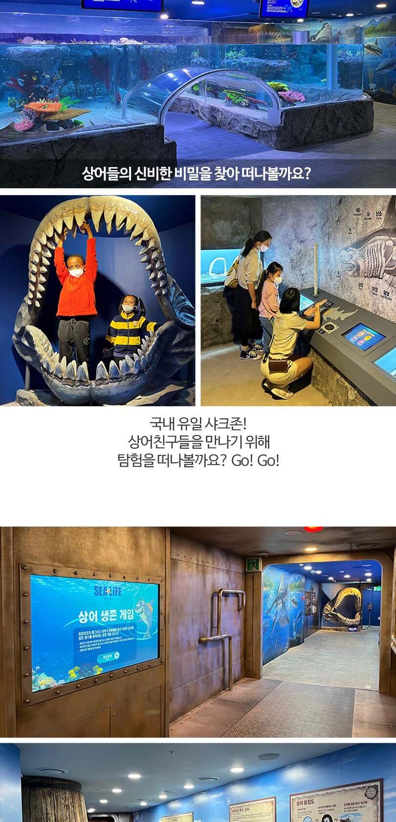 [부산] 부산 아쿠아리움 입장권 상세 이미지 8