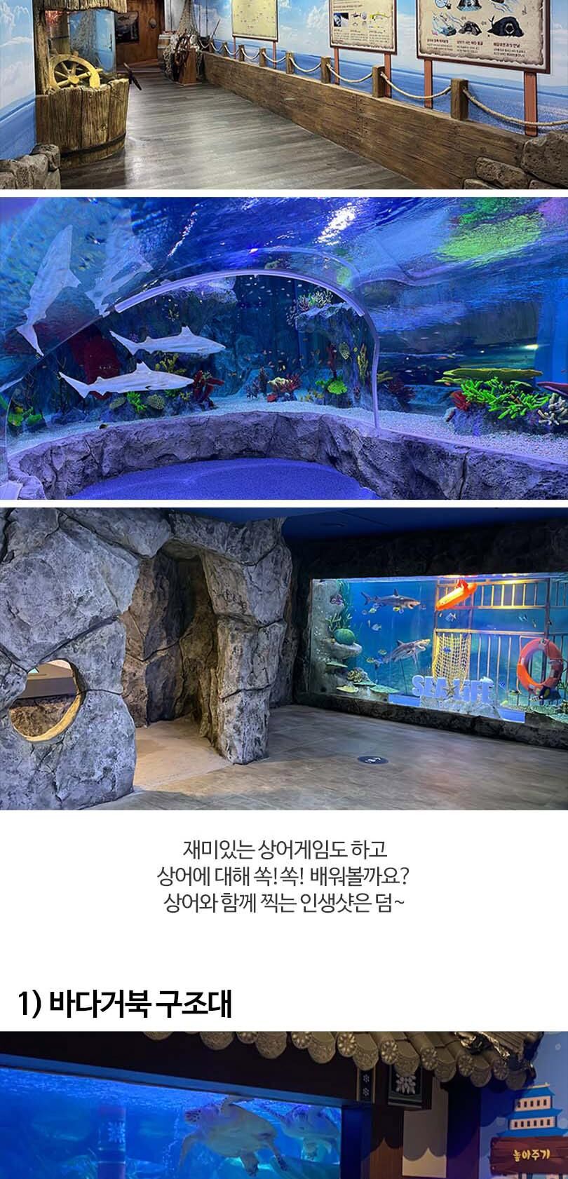 [부산] 부산 아쿠아리움 입장권 상세 이미지 9