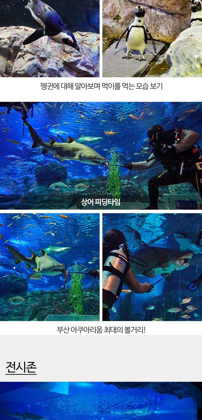 [부산] 부산 아쿠아리움 입장권 상세 이미지 14