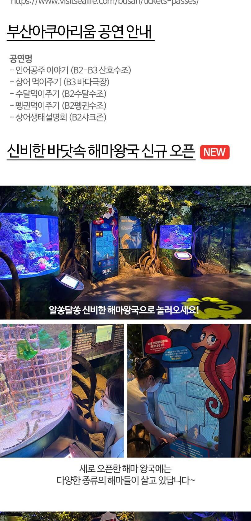 [부산] 부산 아쿠아리움 입장권 상세 이미지 4