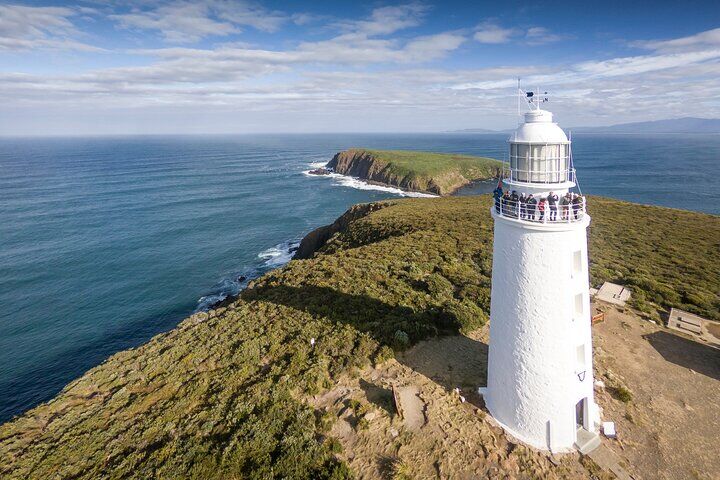 All Inclusive Bruny Island Day Tour 플러스 가이드 라이트하우스 투어