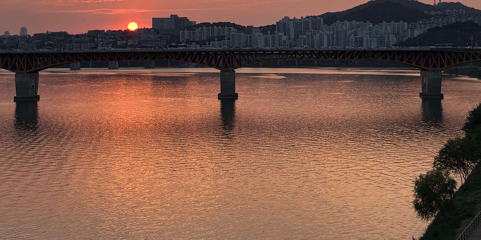 서울숲 + 한강 5km 러닝 투어 (러닝화 대여 포함) 상세 이미지 3