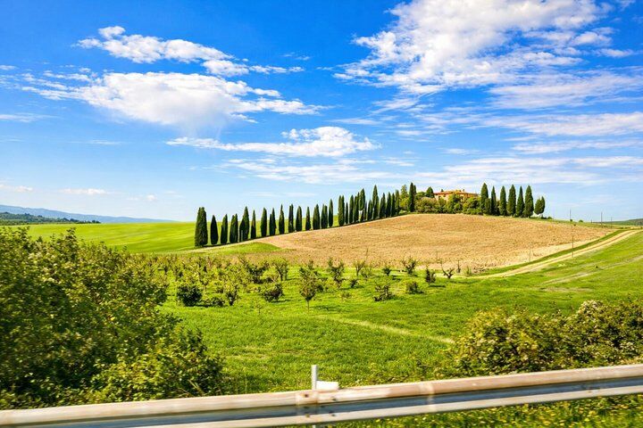 시에나 : Val d’Orcia 와인 투어 Lunch & Brunello
