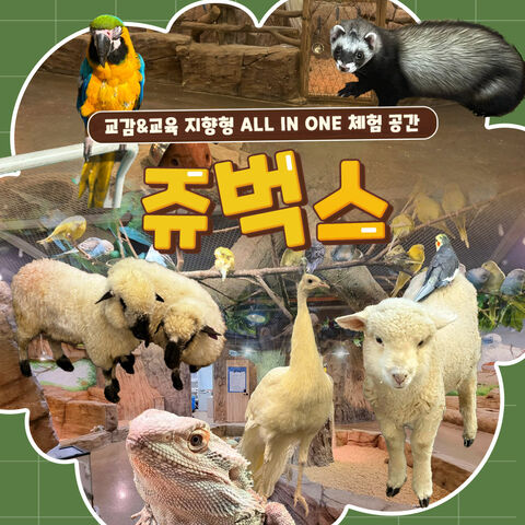 인천 티켓·입장권 - [인천] 실내 동물원 쥬벅스