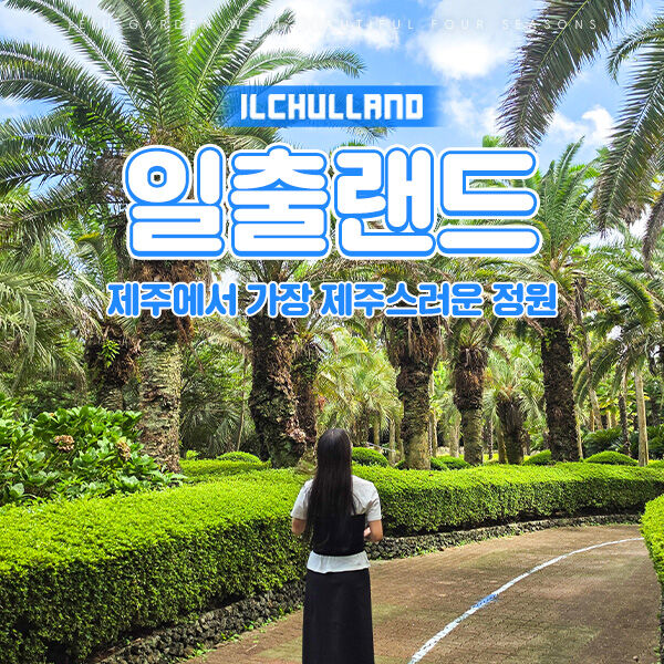 [서귀포] 제주 일출랜드 입장권 & 족욕체험