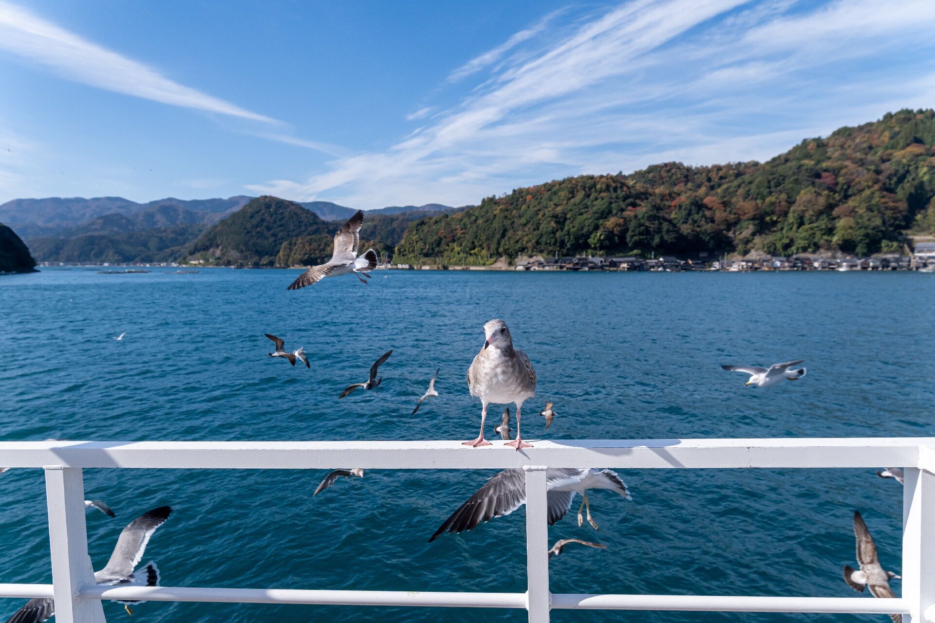 [오사카/교토 직행]아마노하시다테&이네 후나야&미야마 초가마을 하루 투어 상세 이미지 25