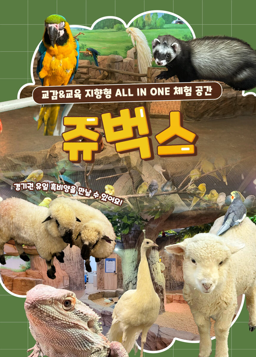 [인천] 실내 동물원 쥬벅스 상세 이미지 2