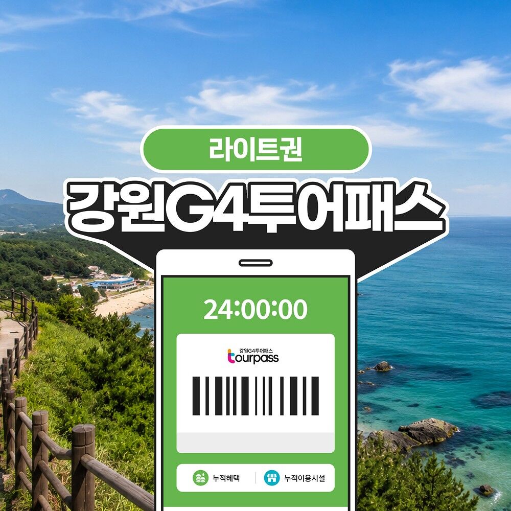 [강원G4투어패스] 강원G4투어패스 라이트권