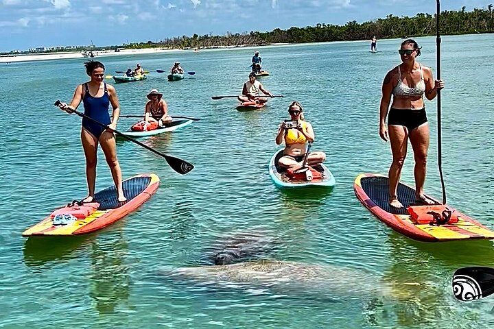 Daytona Beach Dolphin & Manatee 투어 – 패들보드 또는 카야크
