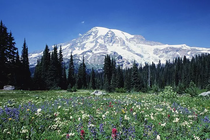 시애틀 출발인 Mt. Rainier Day Tour