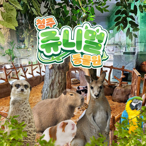 청주 티켓·입장권 - [청주] 아이랑 가볼만한곳!! 쥬니멀동물원