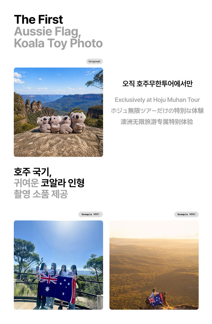 🌙[낮과 밤을 한번에] 블루마운틴 올데이 (트레킹 or 시닉월드 + 선셋·별보기) 상세 이미지 6