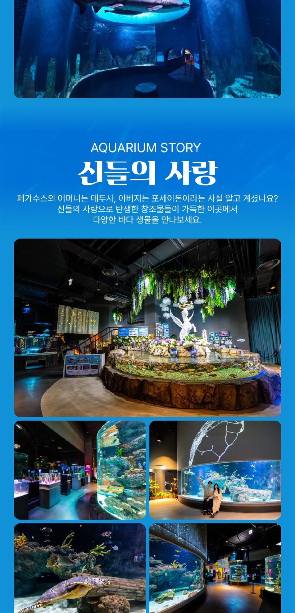 [대전] 엑스포 아쿠아리움 입장권(3/4~) 상세 이미지 13